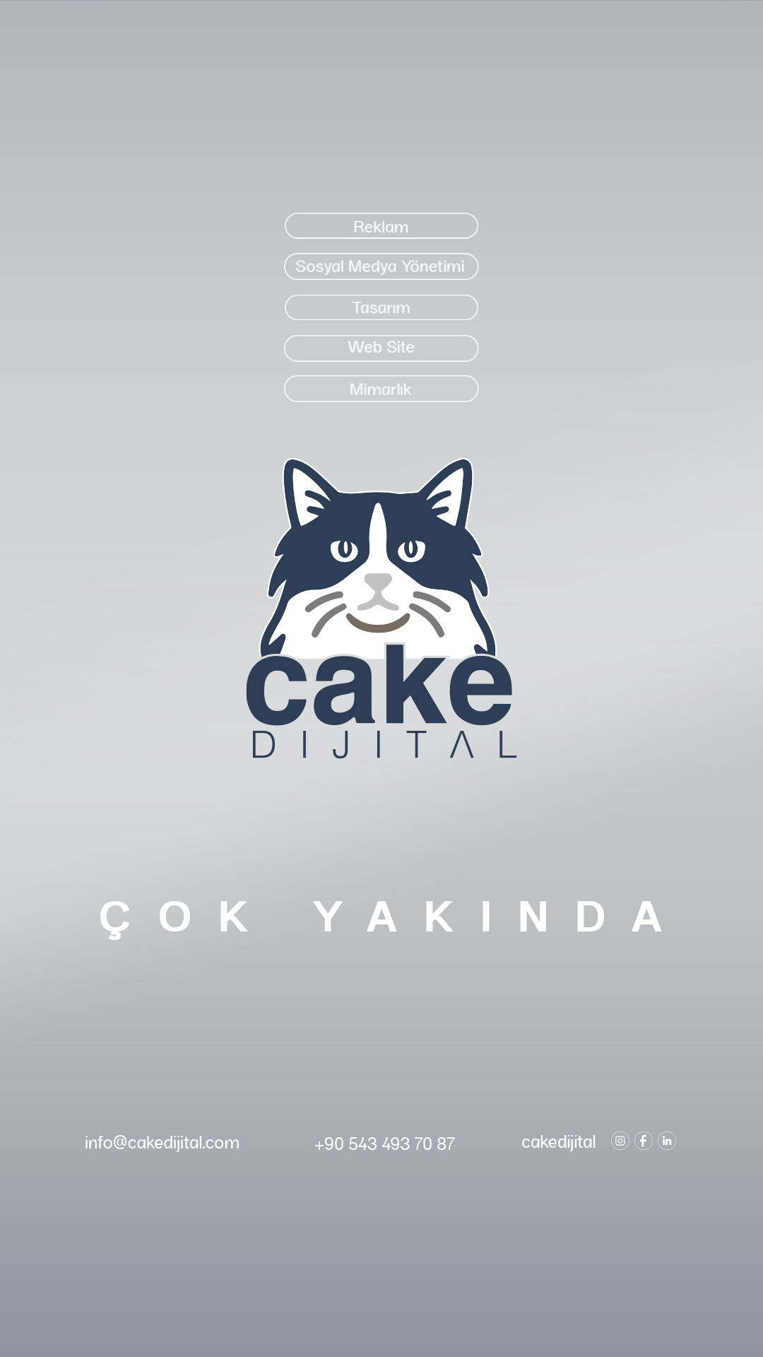 Cake Dijital