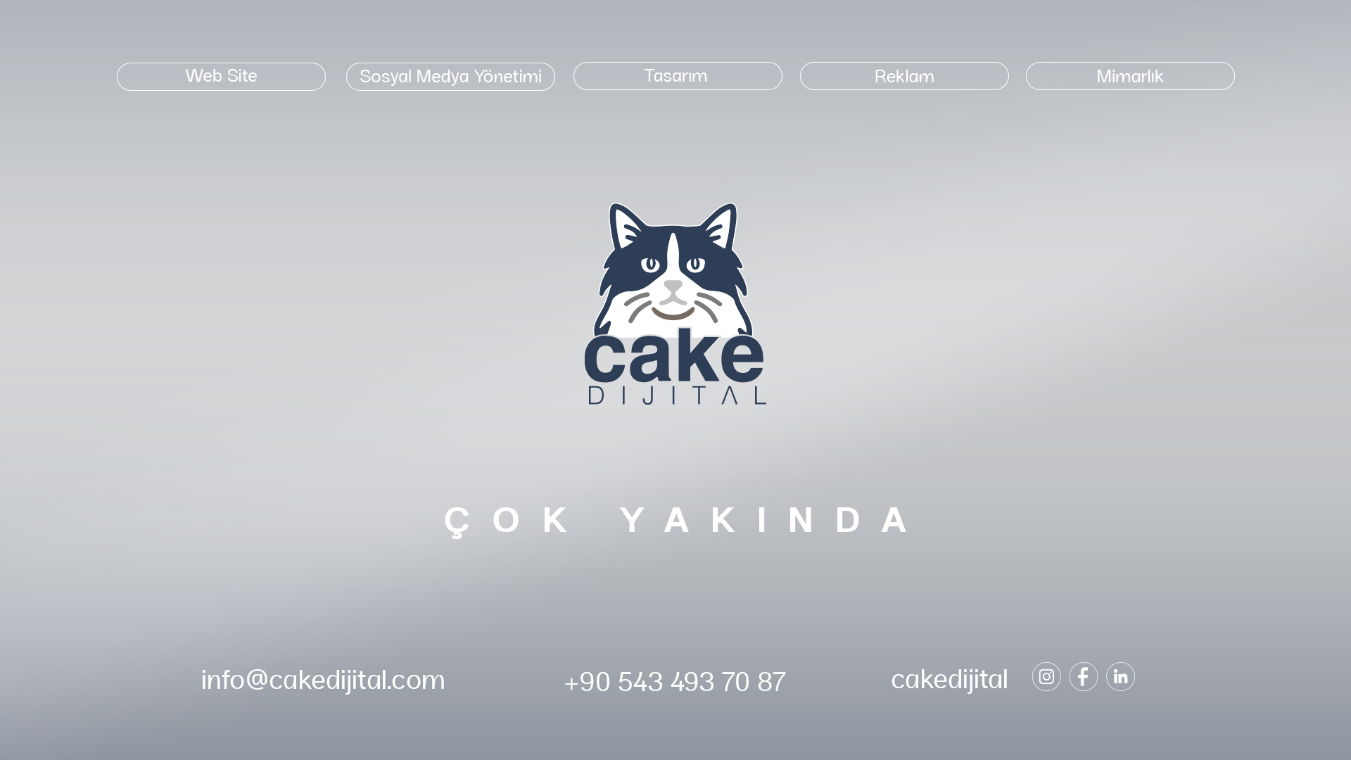 Cake Dijital